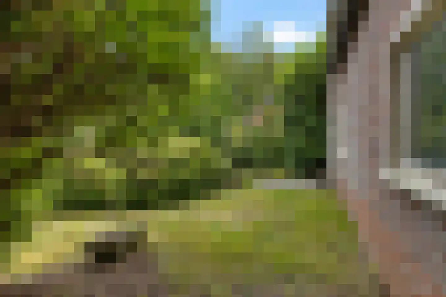 Hoofdstraat 73 Nieuwolda thumbnail 13