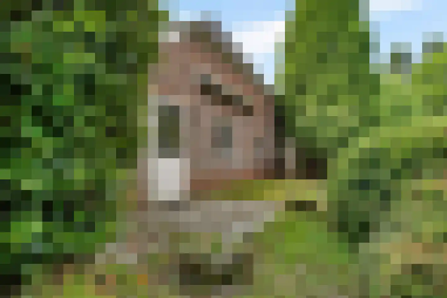 Hoofdstraat 73 Nieuwolda thumbnail 14
