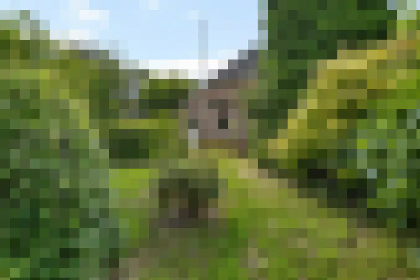 Hoofdstraat 73 Nieuwolda thumbnail 17
