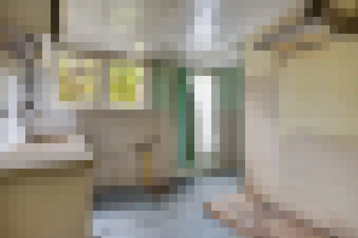 Hoofdstraat 73 Nieuwolda thumbnail 29