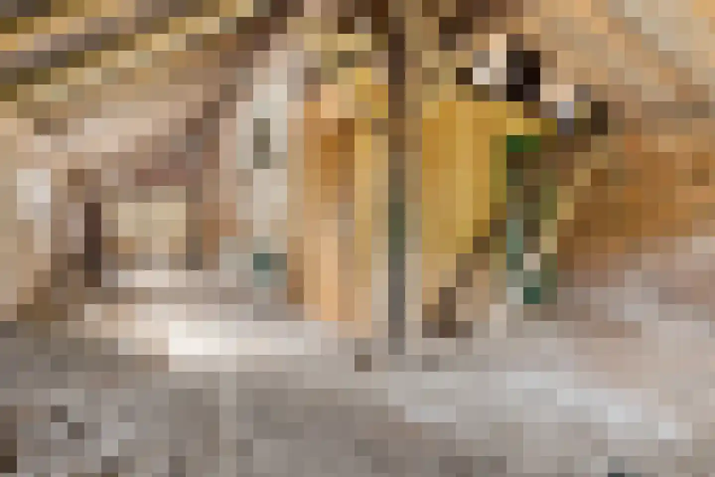Hoofdstraat 73 Nieuwolda thumbnail 36