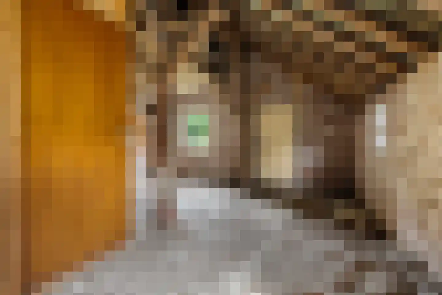 Hoofdstraat 73 Nieuwolda thumbnail 37