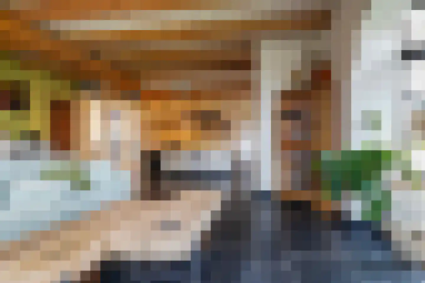 Hoofdstraat 73 Sprang-Capelle thumbnail 12