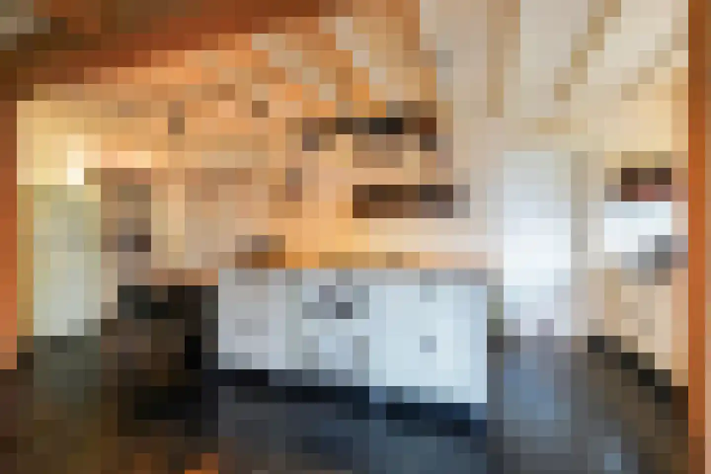 Hoofdstraat 73 Sprang-Capelle thumbnail 13