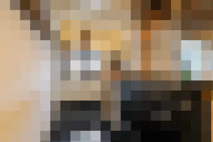 Hoofdstraat 73 Sprang-Capelle thumbnail 14