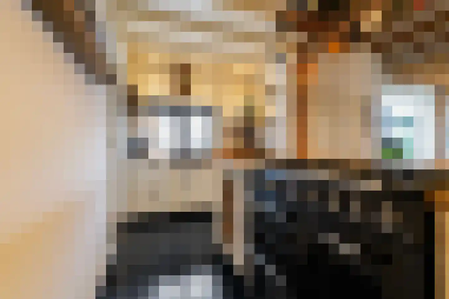 Hoofdstraat 73 Sprang-Capelle thumbnail 15