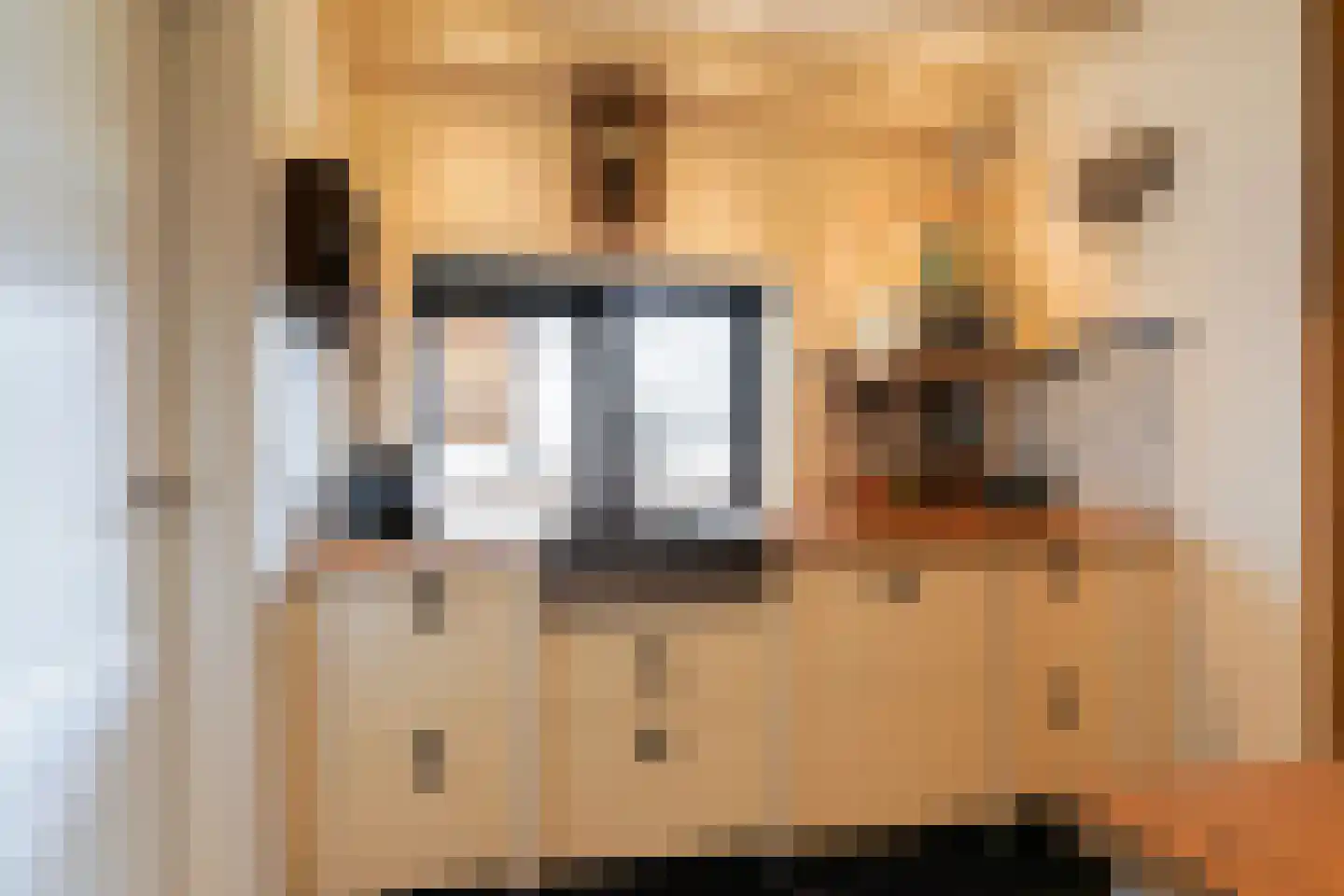 Hoofdstraat 73 Sprang-Capelle thumbnail 16