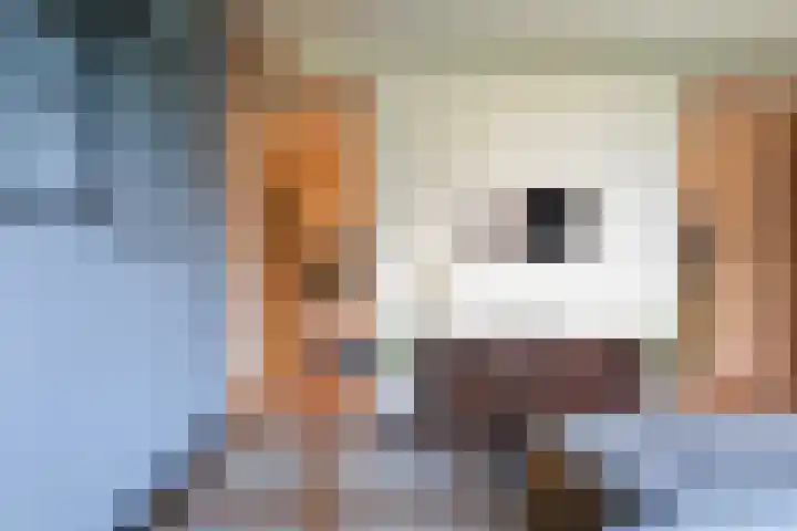 Hoofdstraat 73 Sprang-Capelle thumbnail 18