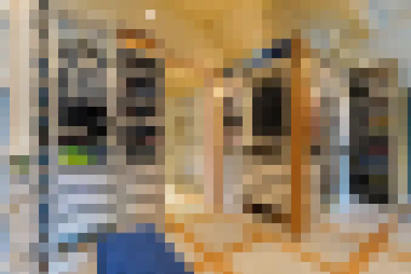 Hoofdstraat 73 Sprang-Capelle thumbnail 19