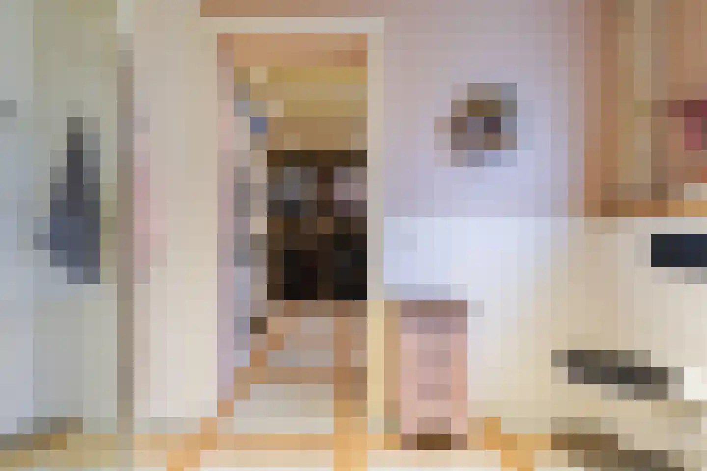 Hoofdstraat 73 Sprang-Capelle thumbnail 20