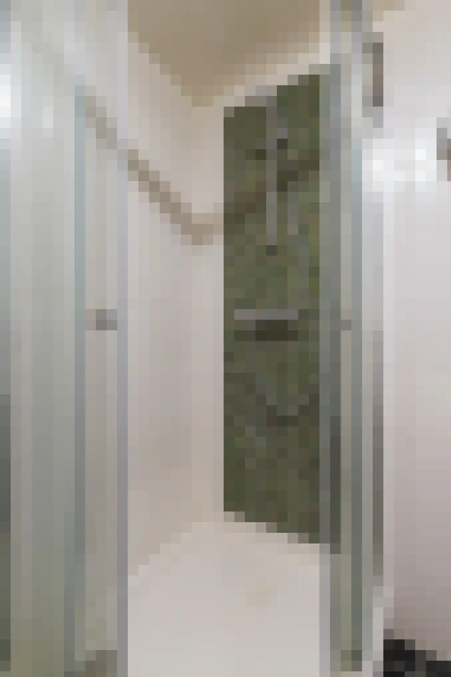 Hoofdstraat 73 Sprang-Capelle thumbnail 30