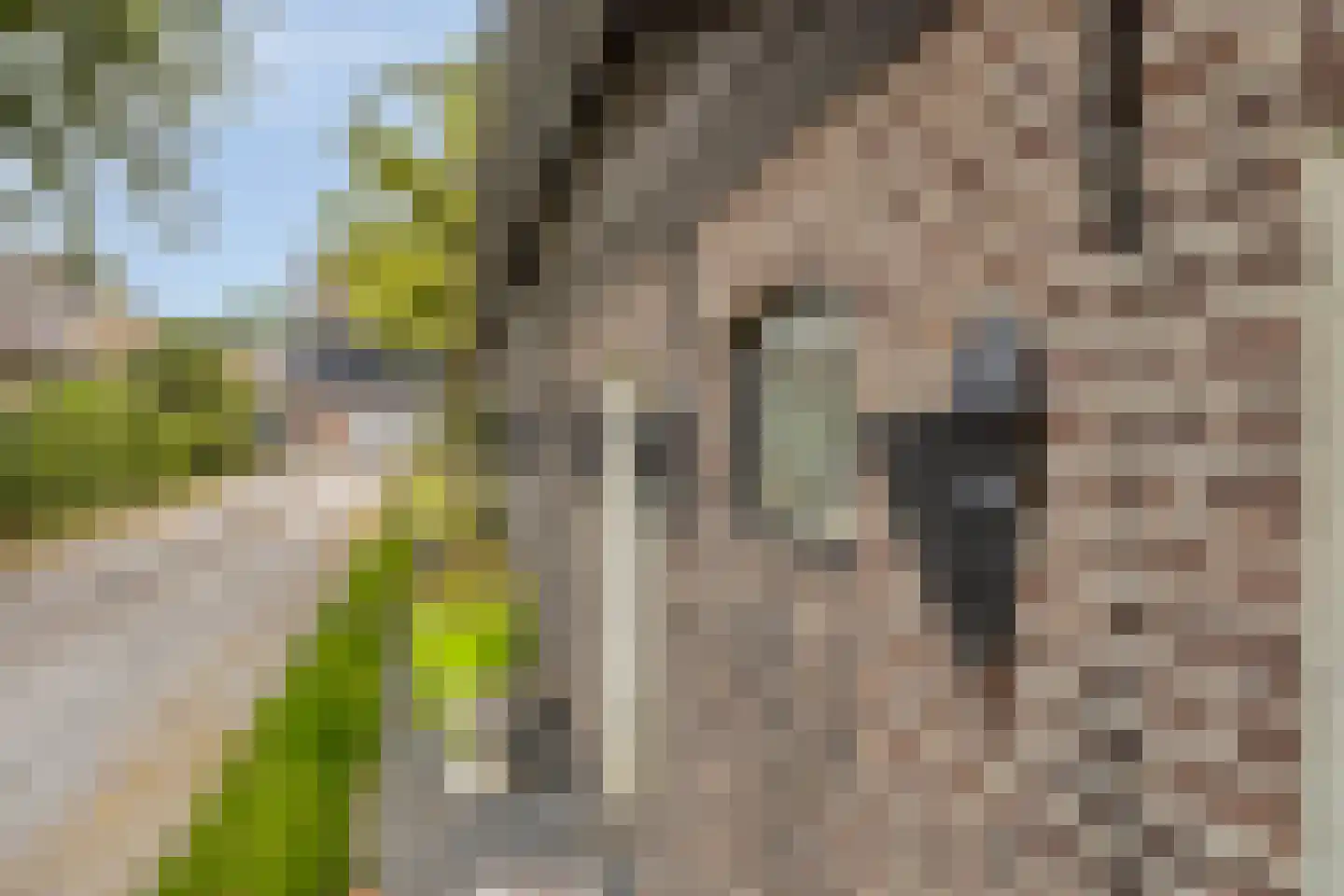 Hoofdstraat 73 Sprang-Capelle thumbnail 43