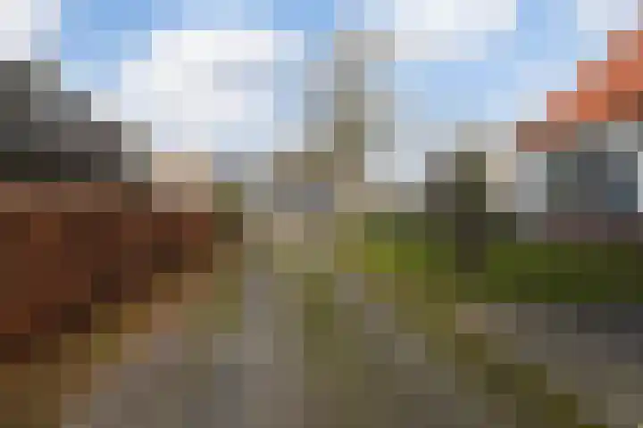 Hoofdstraat 73 Sprang-Capelle thumbnail 46