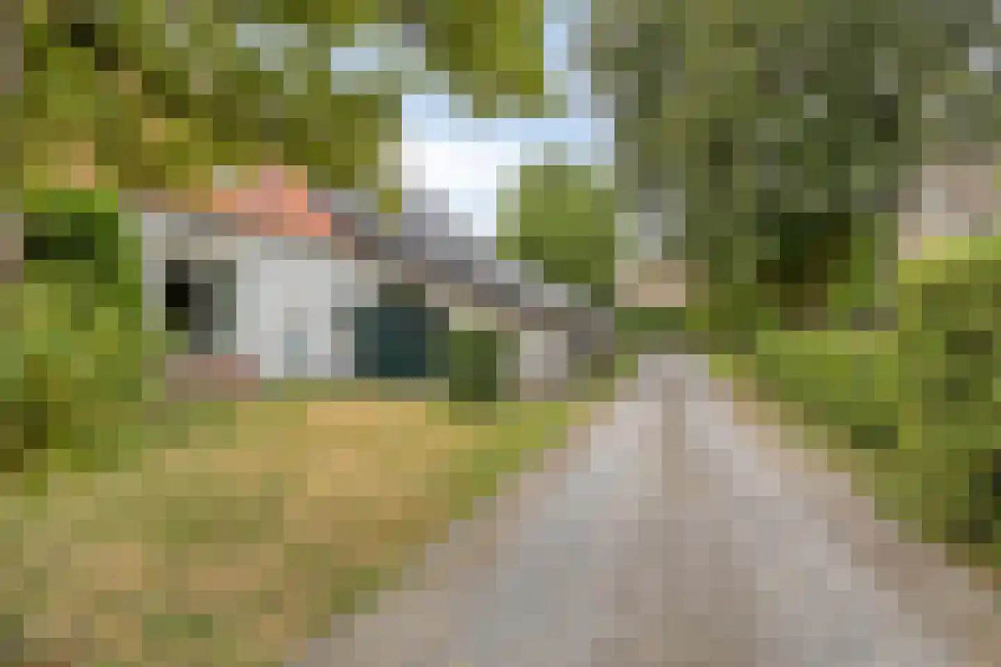 Hoofdstraat 73 Sprang-Capelle thumbnail 6