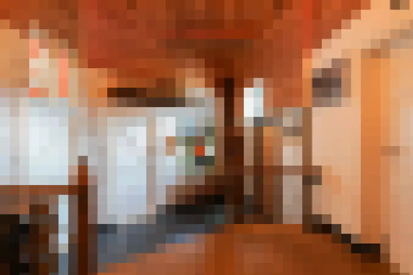 Hoofdstraat 73 Sprang-Capelle thumbnail 8