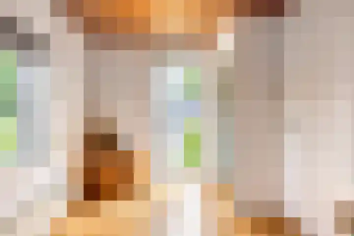 Hoofdstraat 73 Valthe thumbnail 33