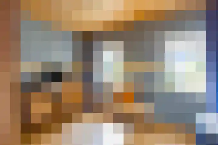 Hoofdstraat 73 Valthe thumbnail 35