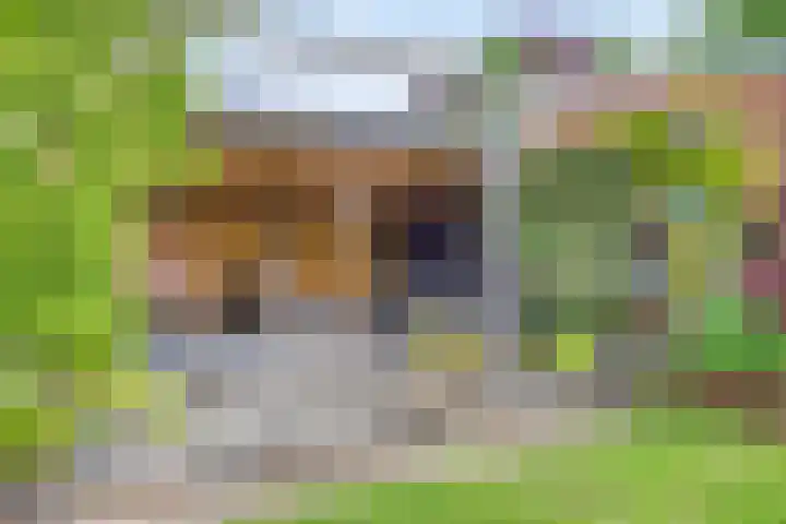 Hoofdstraat 73 Valthe thumbnail 4