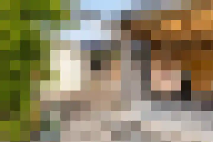 Hoofdstraat 73 Valthe thumbnail 43