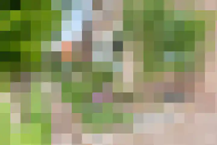 Hoofdstraat 73 Valthe thumbnail 47