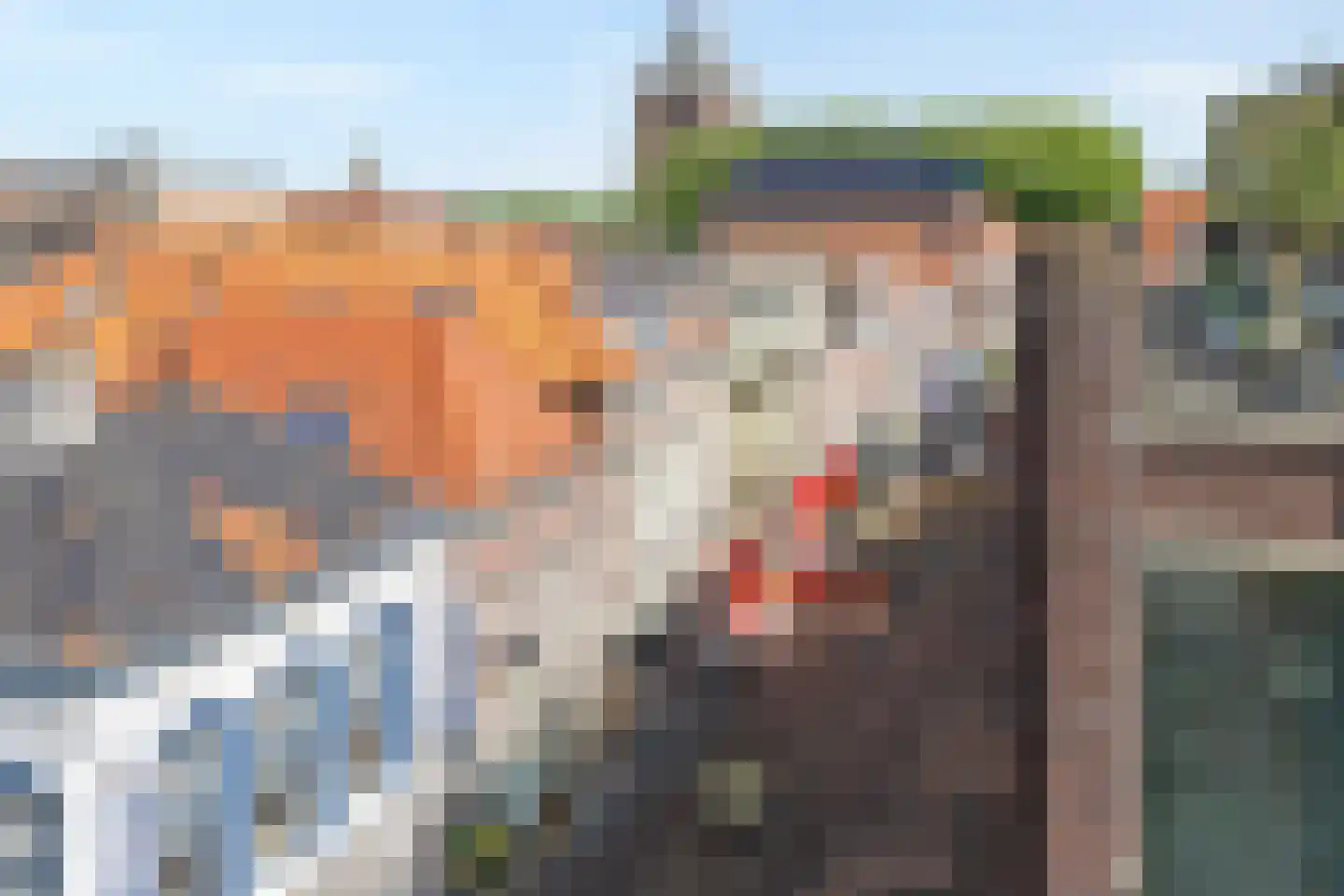 Hoofdstraat 74 C Meppel thumbnail 31