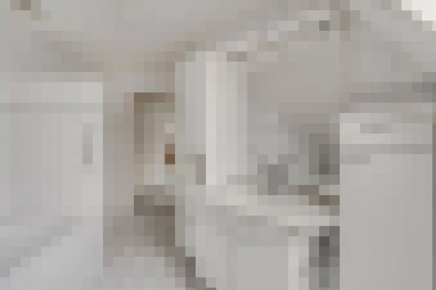 Hoofdstraat 74 Voorthuizen thumbnail 30