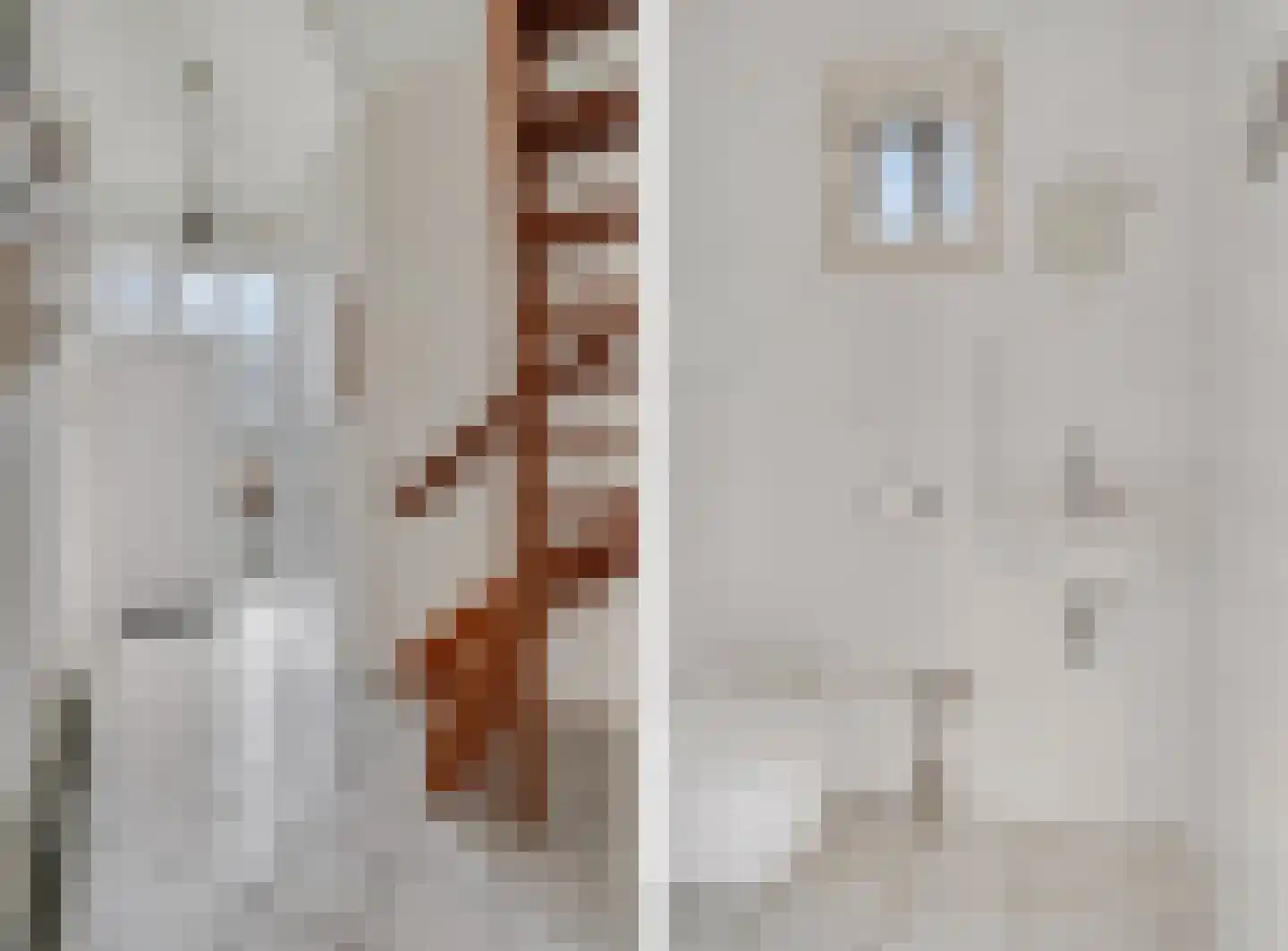 Hoofdstraat 74 Voorthuizen thumbnail 8