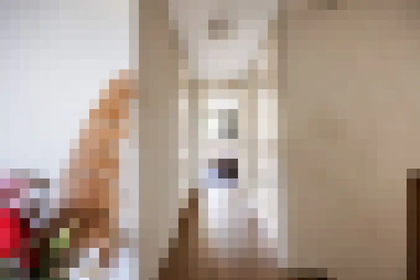 Hoofdstraat 75 A Kloosterburen thumbnail 37