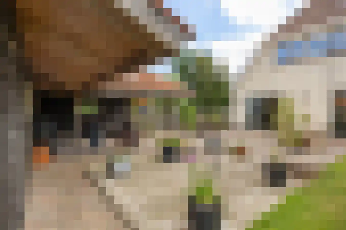 Hoofdstraat 75 A Kloosterburen thumbnail 59