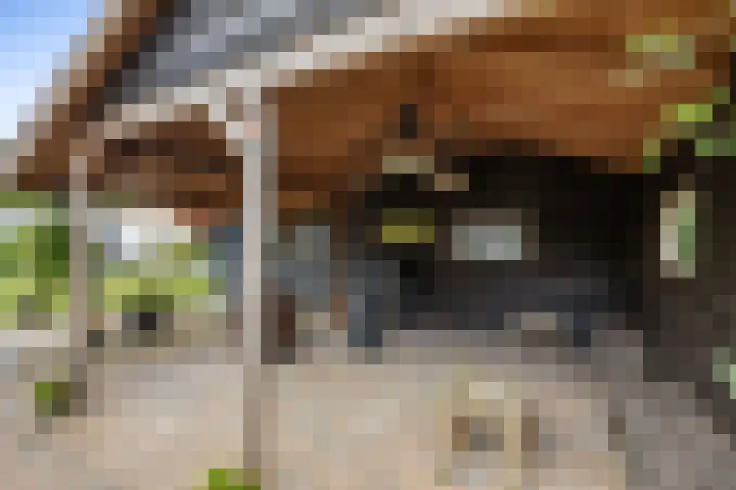 Hoofdstraat 75 A Kloosterburen thumbnail 60