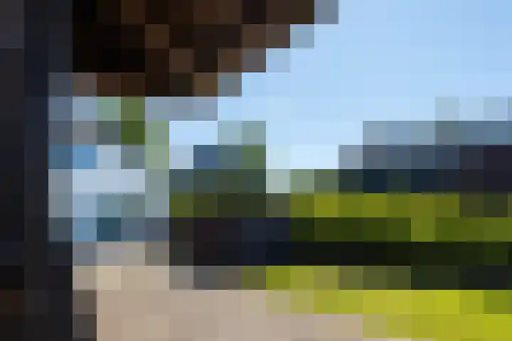 Hoofdstraat 75 Noordbroek thumbnail 22