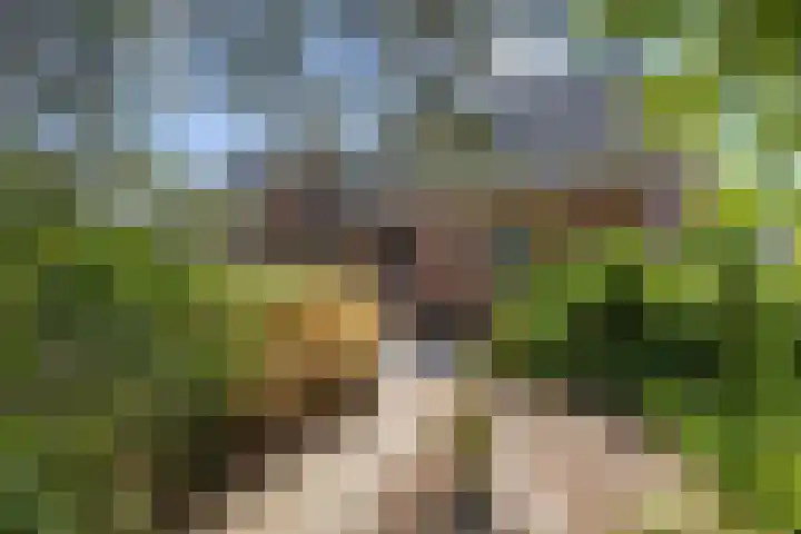 Hoofdstraat 75 Uithuizermeeden thumbnail 6