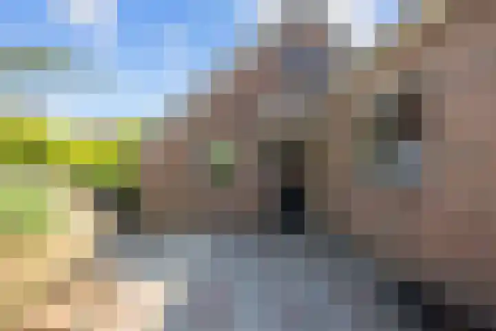Hoofdstraat 75 Uithuizermeeden thumbnail 7