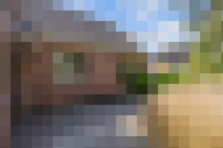 Hoofdstraat 75 Uithuizermeeden thumbnail 8