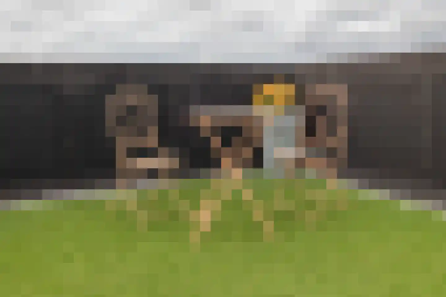 Hoofdstraat 76 B Hillegom thumbnail 30
