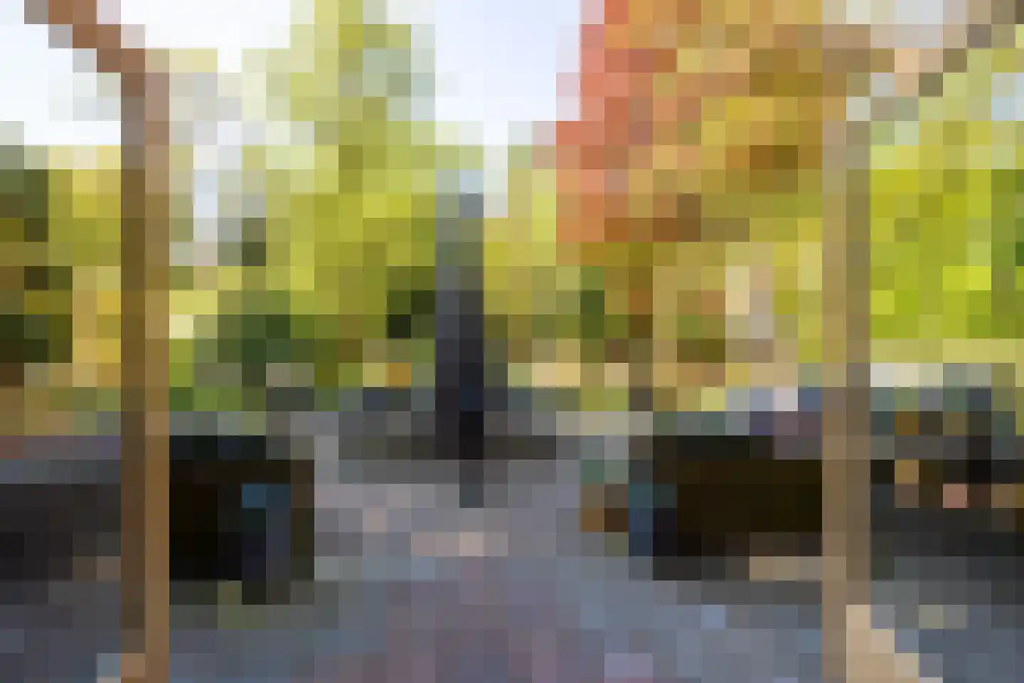 Hoofdstraat 76 Driebergen-Rijsenburg thumbnail 20