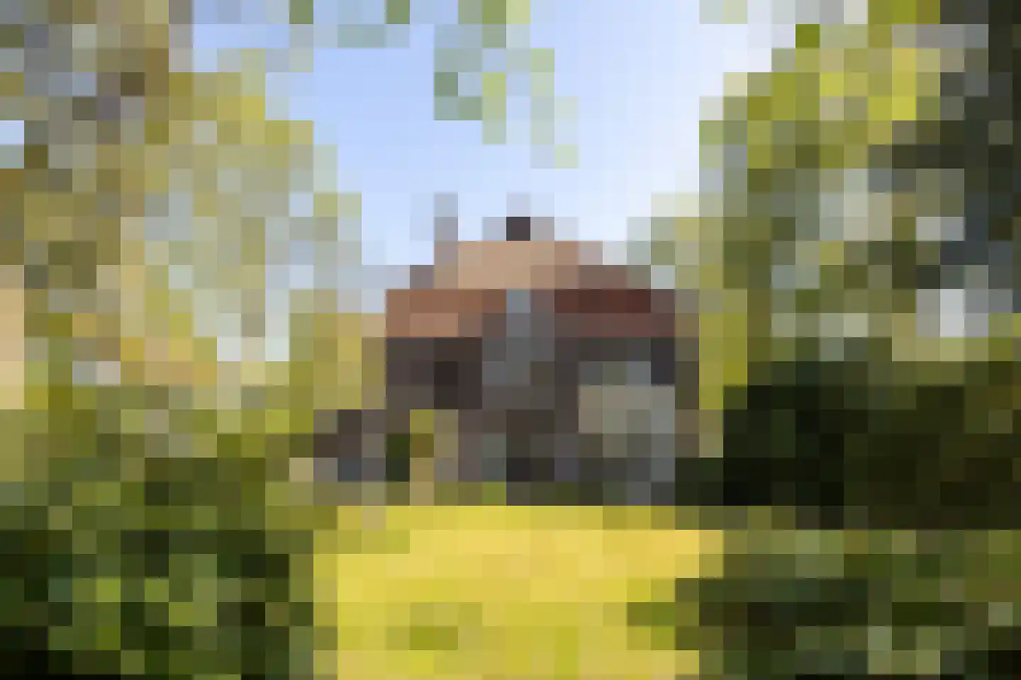 Hoofdstraat 76 Driebergen-Rijsenburg thumbnail 41