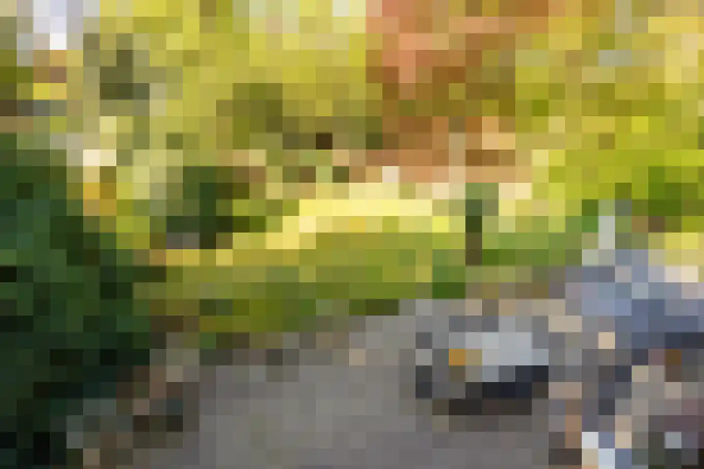 Hoofdstraat 76 Driebergen-Rijsenburg thumbnail 42