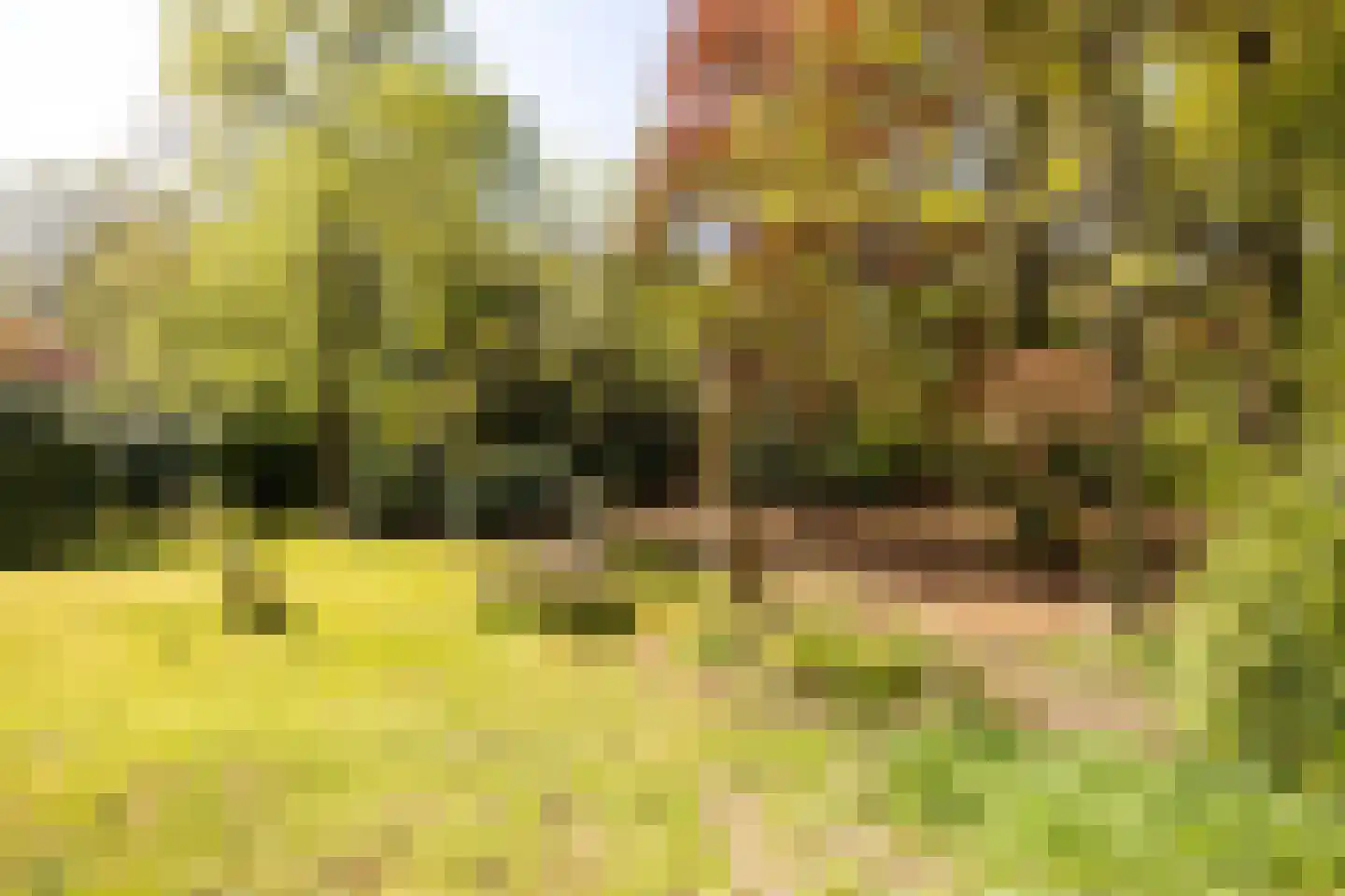 Hoofdstraat 76 Driebergen-Rijsenburg thumbnail 44
