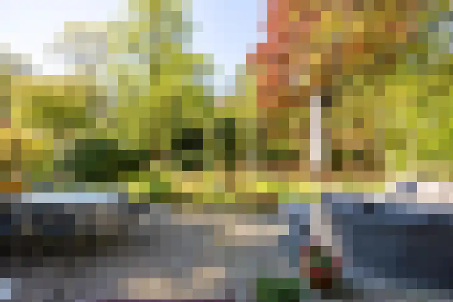 Hoofdstraat 76 Driebergen-Rijsenburg thumbnail 45