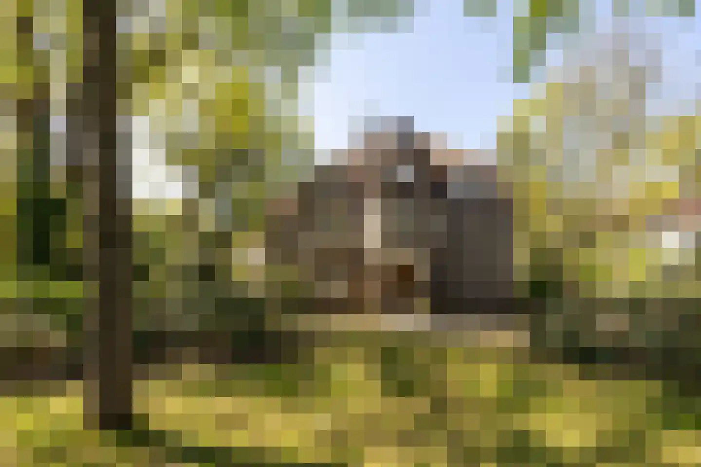 Hoofdstraat 76 Driebergen-Rijsenburg thumbnail 49