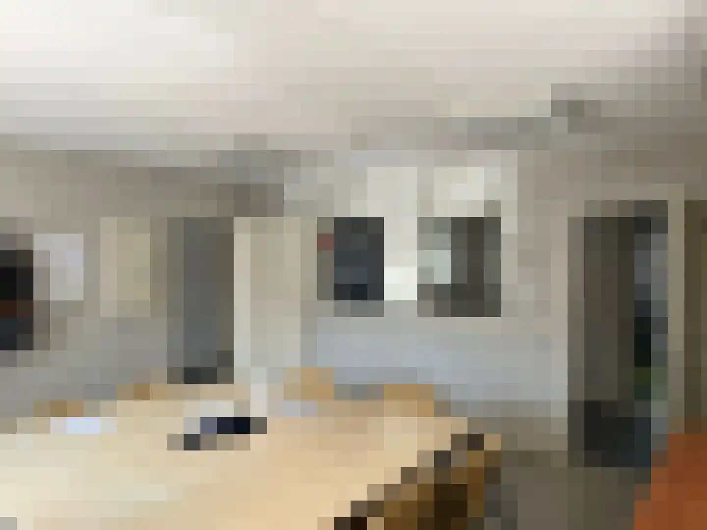 Hoofdstraat 76 Hoogeloon thumbnail 12