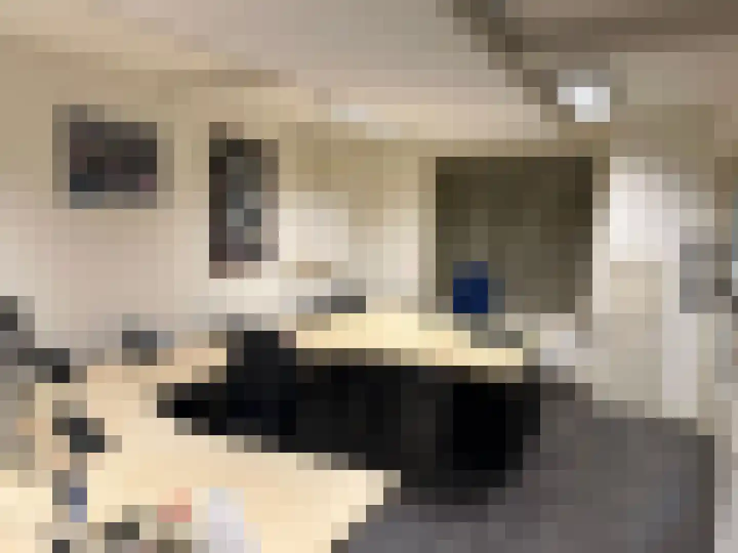 Hoofdstraat 76 Hoogeloon thumbnail 15