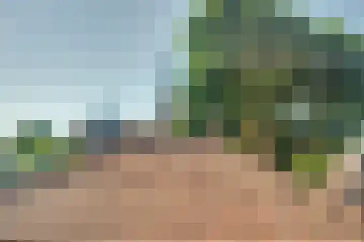 Hoofdstraat 76 Rijen thumbnail 63