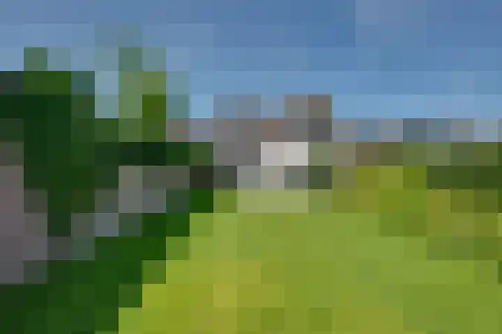 Hoofdstraat 76 Rijen thumbnail 72