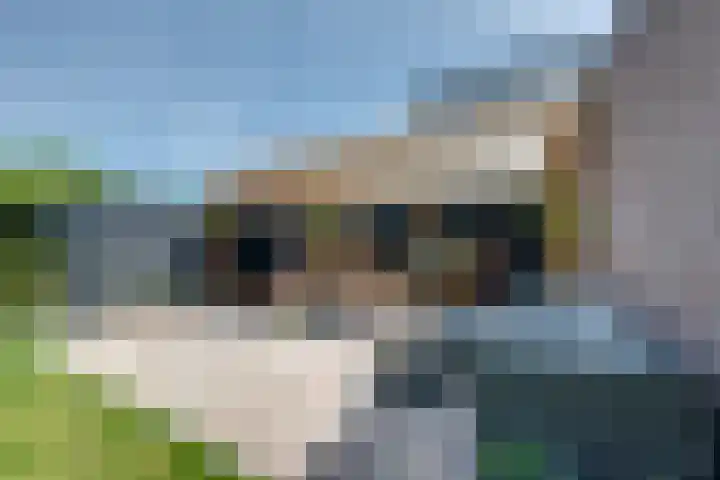 Hoofdstraat 76 Rijen thumbnail 76
