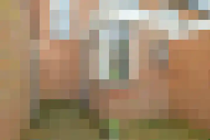 Hoofdstraat 76 Zetten thumbnail 48