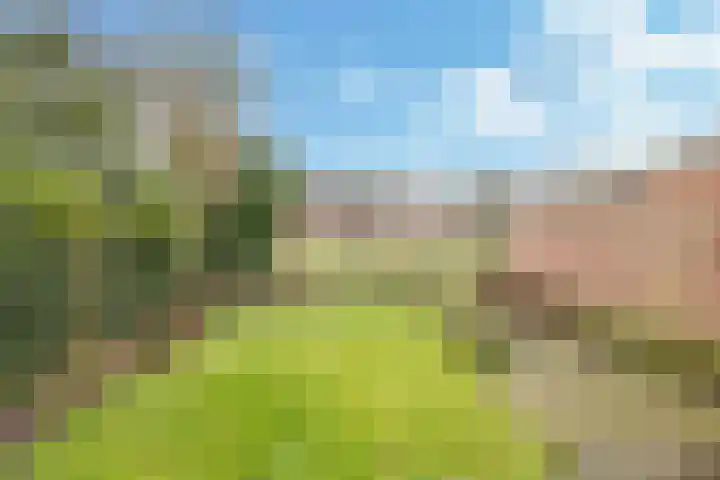 Hoofdstraat 76 Zetten thumbnail 53