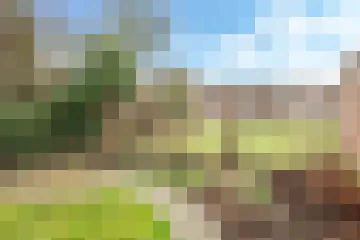 Hoofdstraat 76 Zetten thumbnail 55