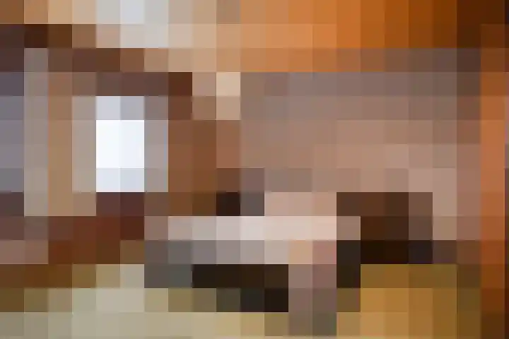 Hoofdstraat 77 A Hoogeloon thumbnail 26
